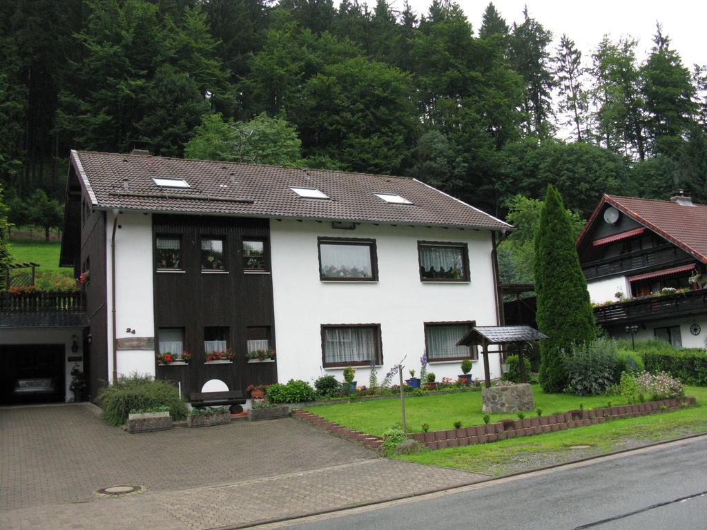 Ferienwohnung Gohlke Kamschlacken Bilik gambar